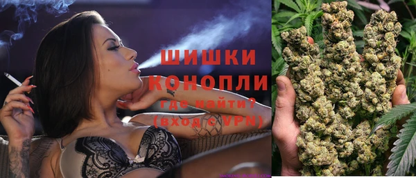 дмт Белокуриха